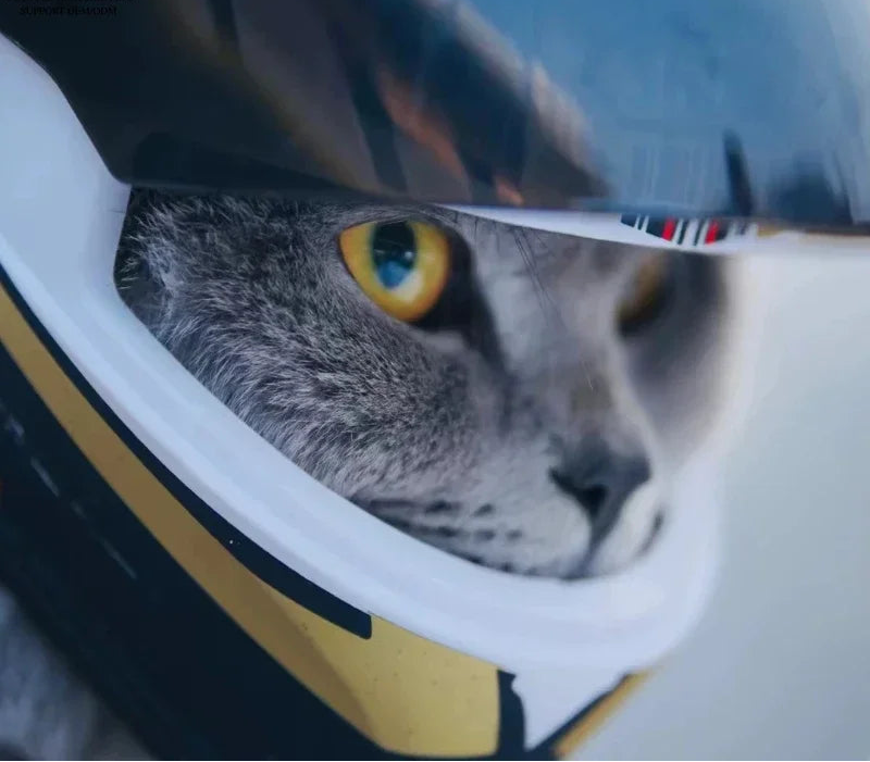 Full Face Pet Motorcycle Helmet for Cats & Small Dogs