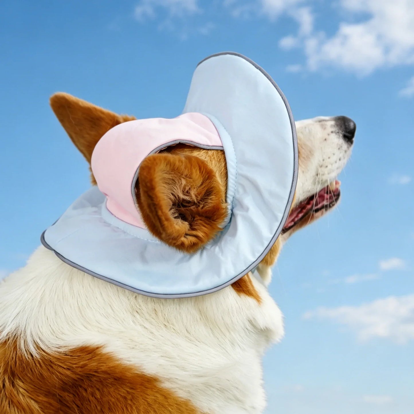 Reflective Wide Brim Bucket Sun Hat with Ear Holes for Dogs & Cats