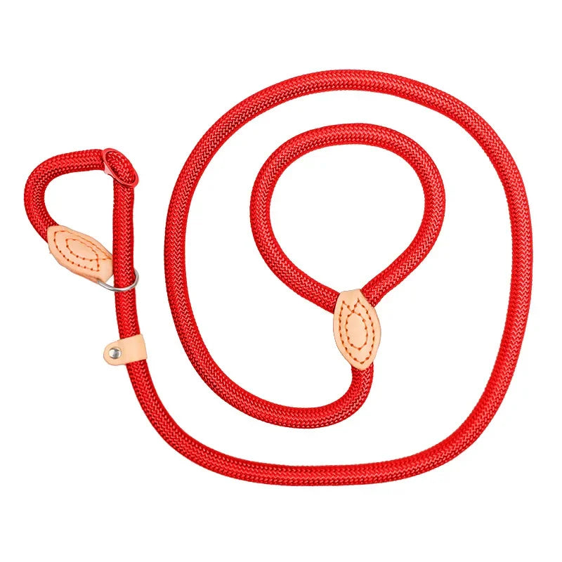 Laisse-collier chien - Corde tressée robuste avec boucle réglable pour grands chiens