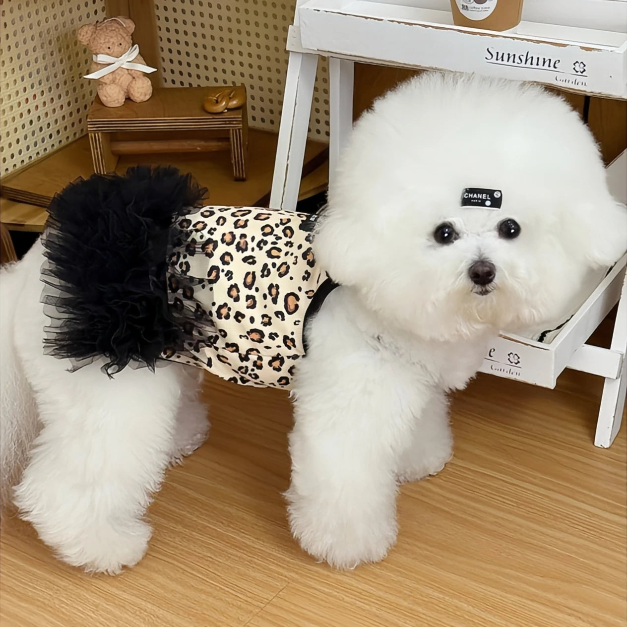 Leopard Print Mesh Slip Dress for Dogs & Cats | Summer Princess Dress for Puppies, Pomeranians & Sphynx Cats