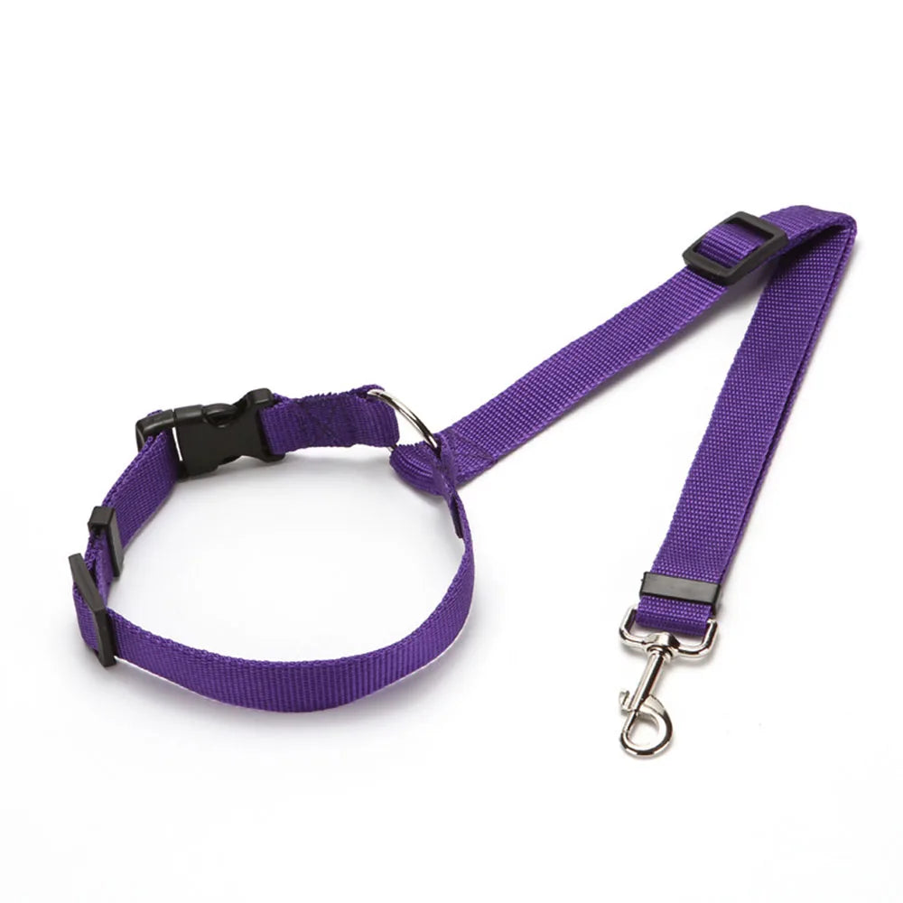 Harnais réglable et ceinture de sécurité pour chien