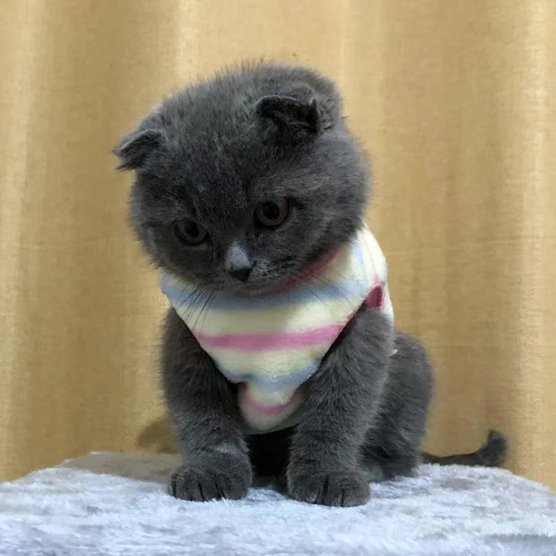 Cartoon Print Plush Vest for Small Animals & Kittens
