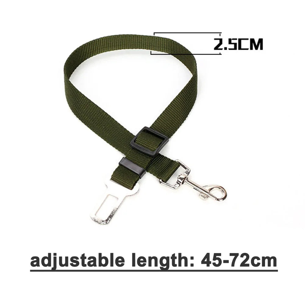 Ceinture de sécurité rétractable pour chien avec bande réfléchissante