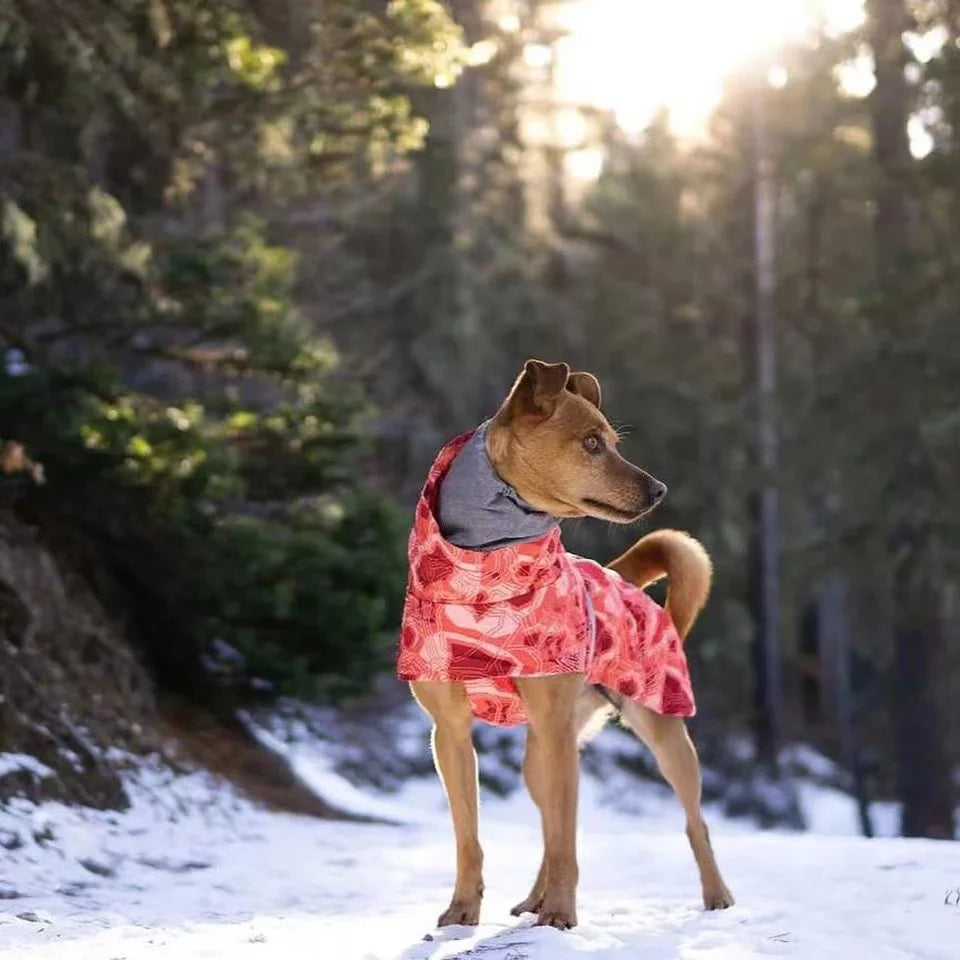 Waterproof Winter Dog Jacket – Warm Outfit for Small, Medium & Large Dogs