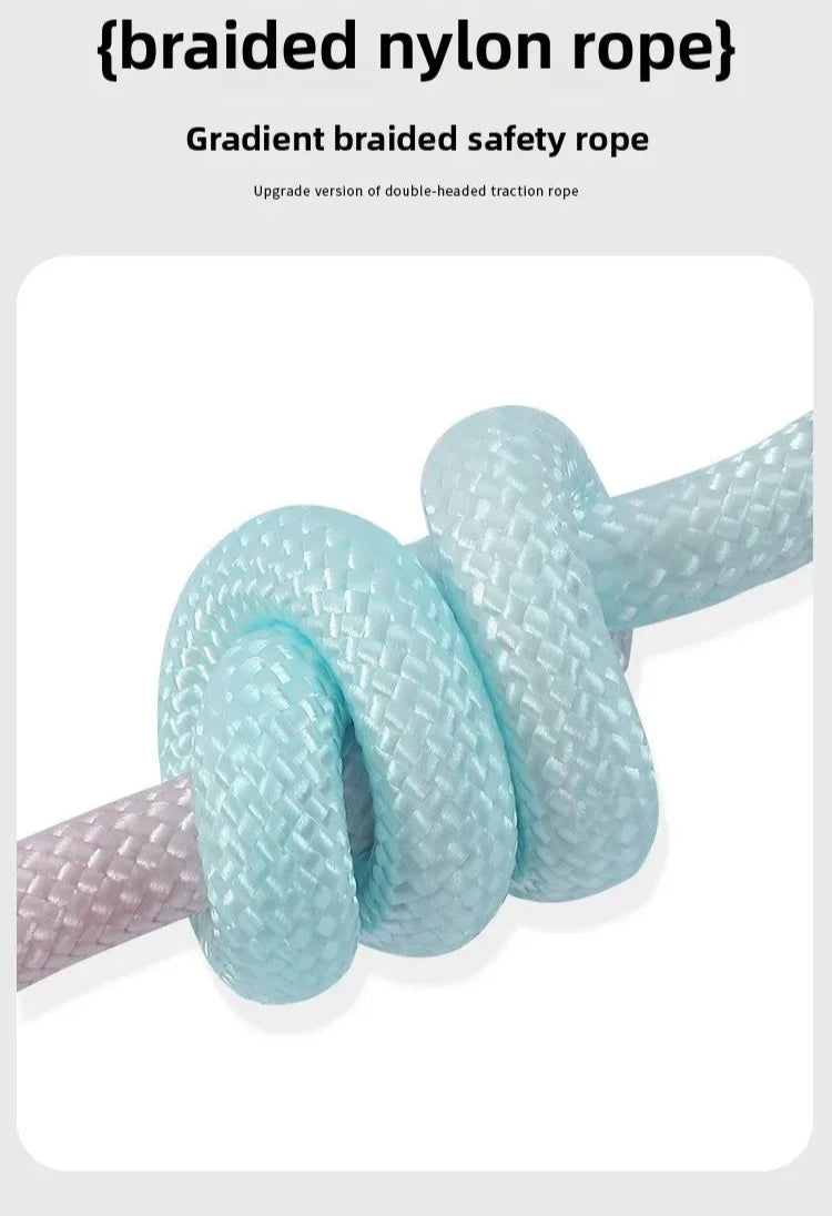 Ensemble complet de collier, harnais et laisse pour chien de qualité supérieure