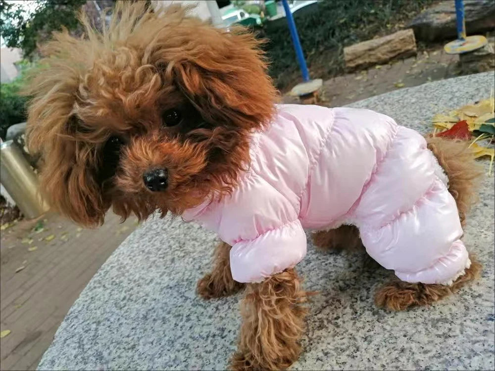 Waterproof Fleece Dog Jumpsuit with D-Ring for Small Dogs
