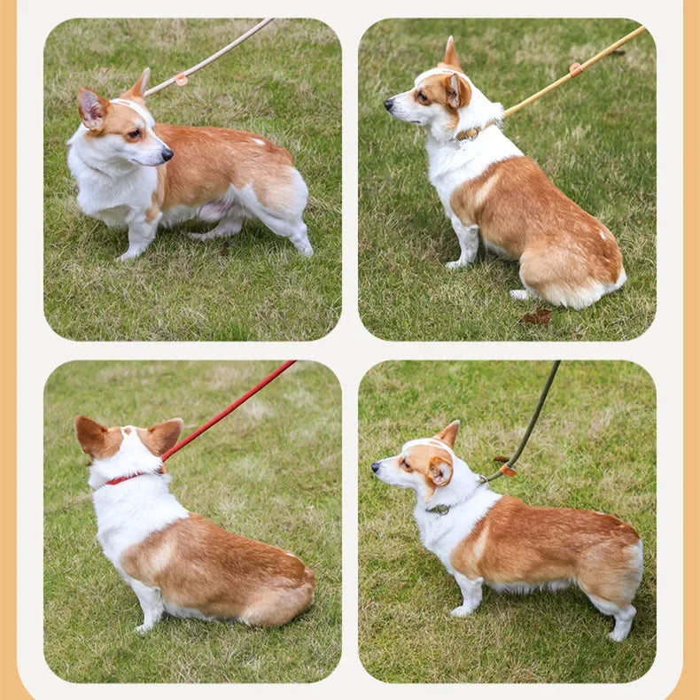 Laisse-collier chien - Corde tressée robuste avec boucle réglable pour grands chiens