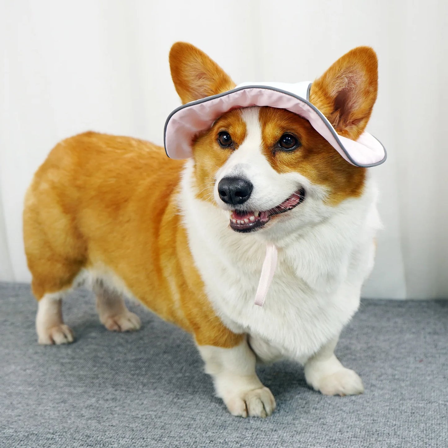 Reflective Wide Brim Bucket Sun Hat with Ear Holes for Dogs & Cats