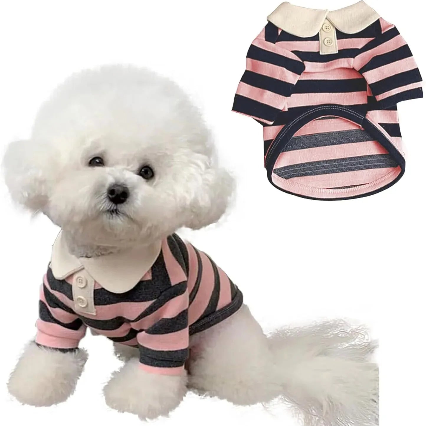 Chemise de luxe premium pour chien