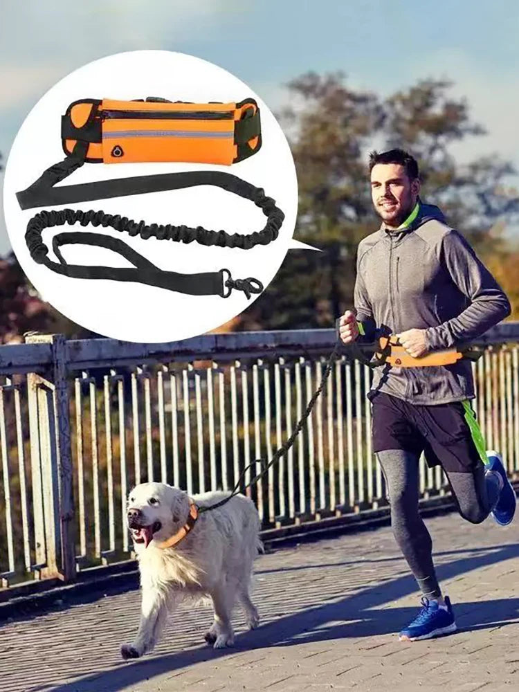Hands-Free Running Dog Leash Set with Waist Bag & Reflective Belt
