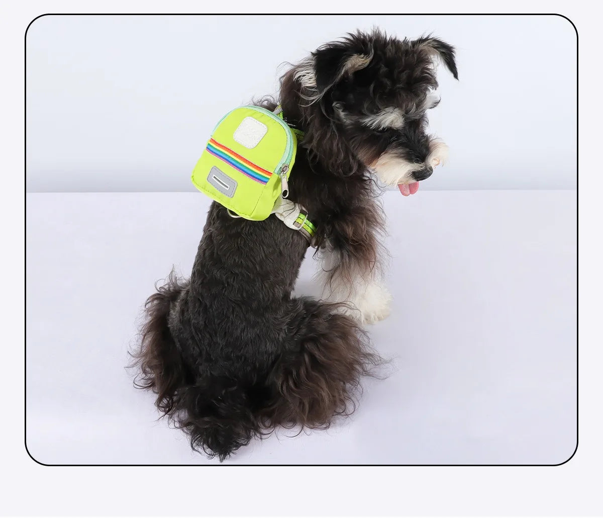 Dog Harness & Lead Set – Padded Vest Harness with Reflective Strips for Small & Medium Dogs