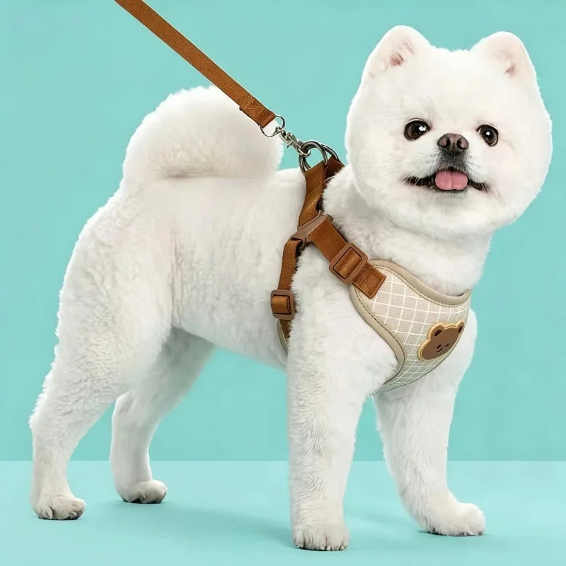 Breathable Vest Harness & Lead Set for Small Dogs & Cats