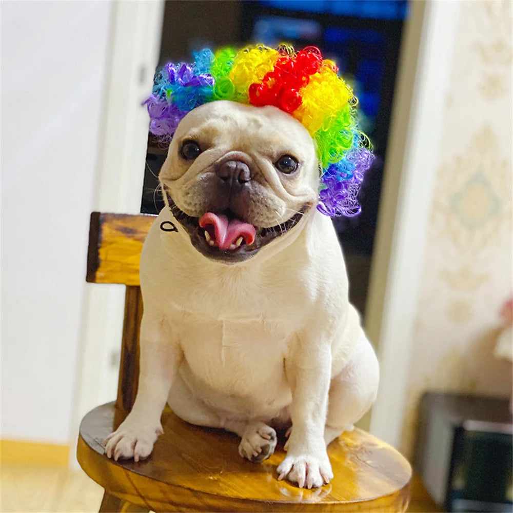 Novelty Faux Fur Wig Hat for Dogs & Cats