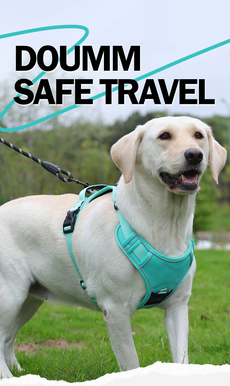 No-Pull Dog Harness with AirTag Holder, Handle & Front Clip — Reflective Padded Vest for Walking & Training