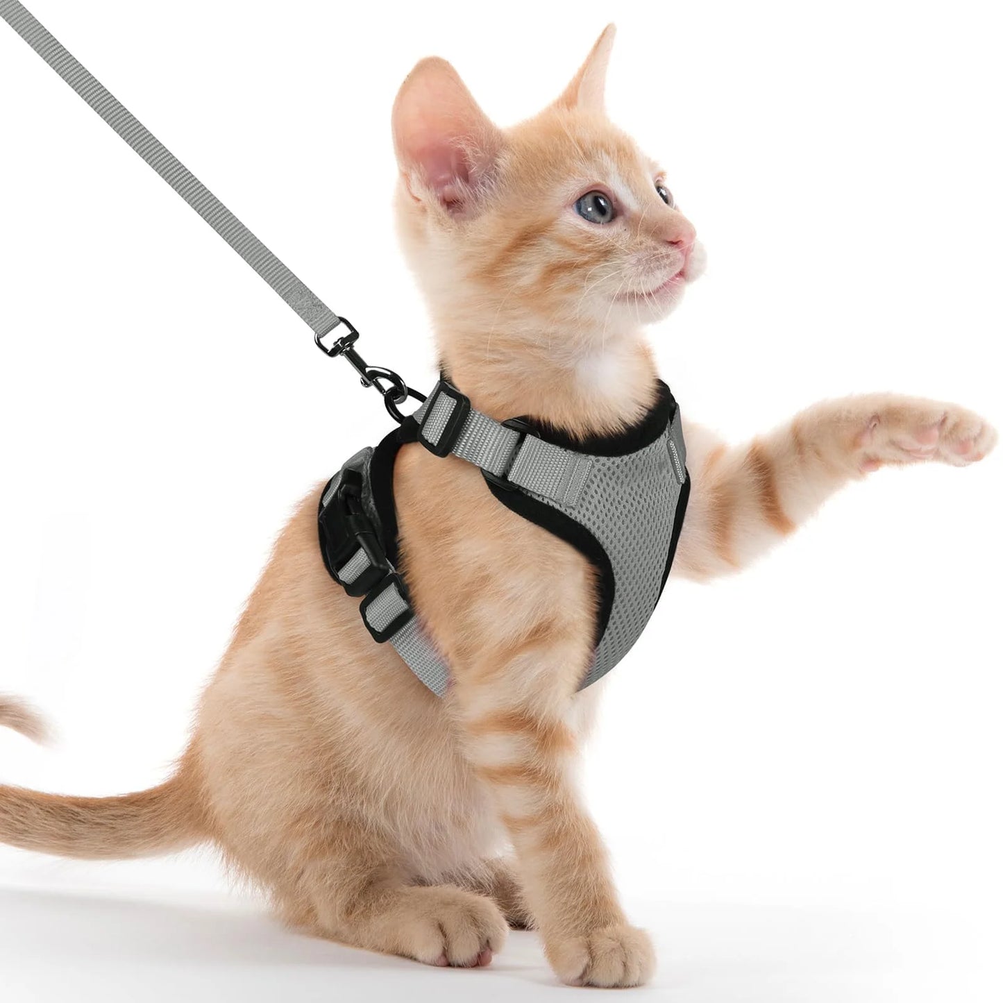 Escape-Proof Cat Harness & Lead Set — Adjustable Reflective Mesh Vest for Cats & Small Dogs