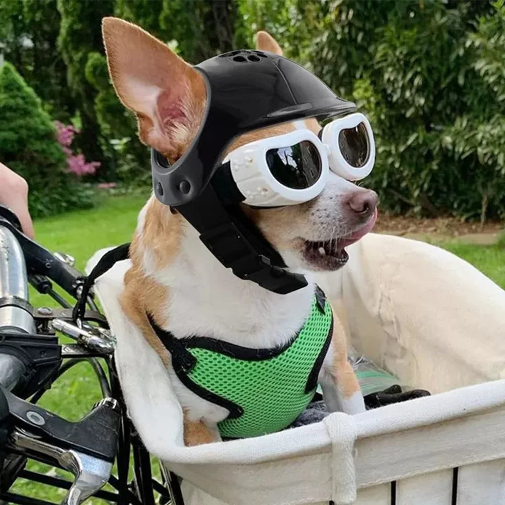 Motorcycle Helmet for Small Dogs with Ear Holes
