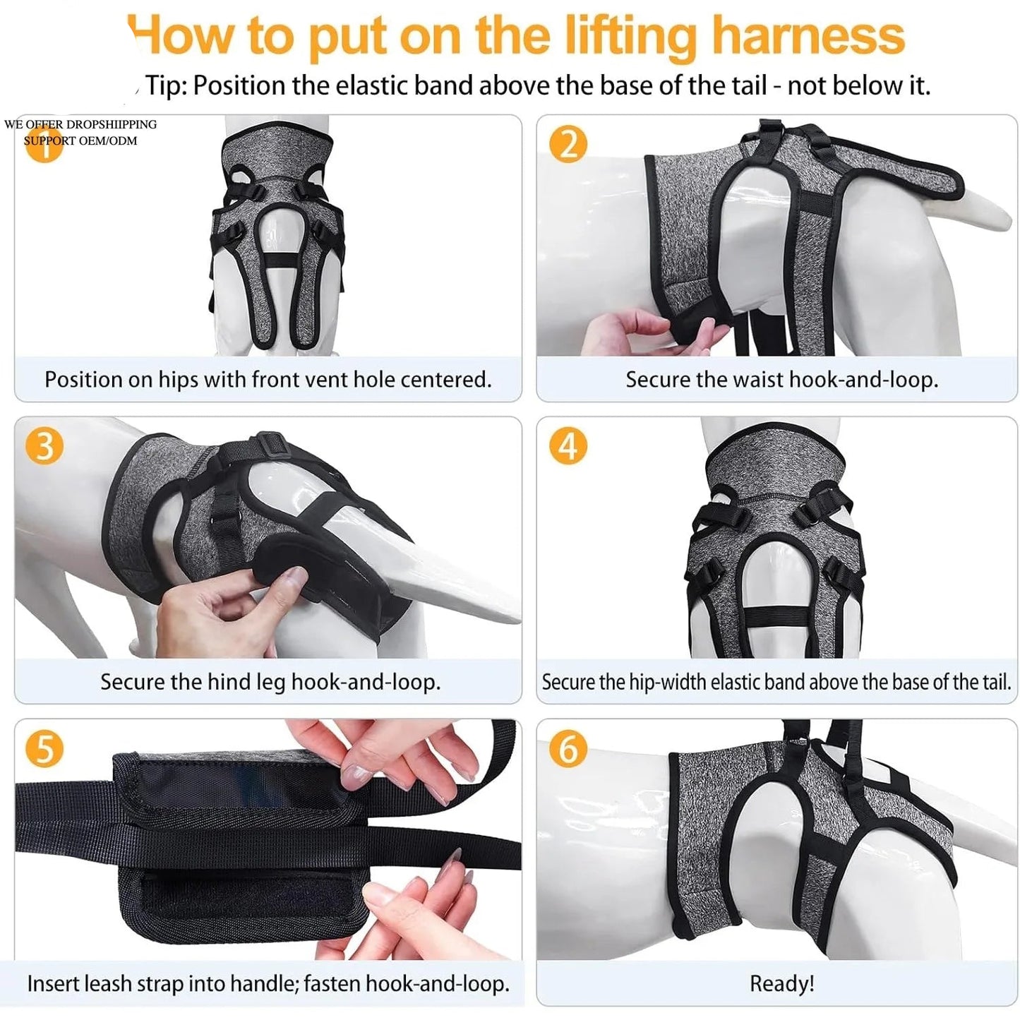 Hind Leg Support Dog Sling for Large & Senior Dogs | Adjustable Mobility Aid