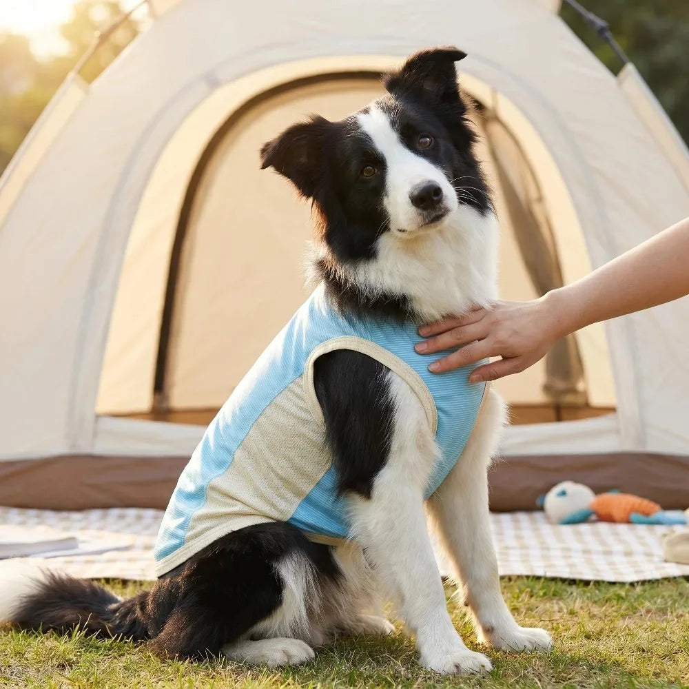 Ice Silk Cooling Vest with Sun Protection for Dogs & Cats