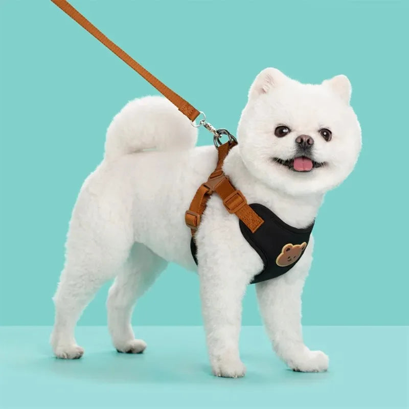 Breathable Vest Harness & Lead Set for Small Dogs & Cats