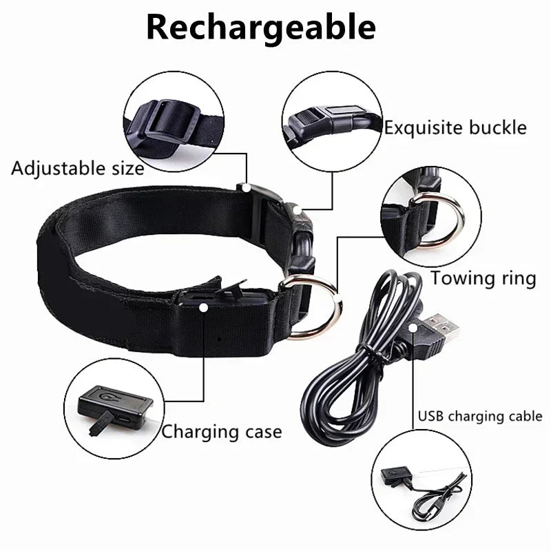 Collier lumineux LED pour chien - Réglable, clignotant, rechargeable - Collier lumineux pour la sécurité nocturne - Harnais lumineux anti-perte pour chien