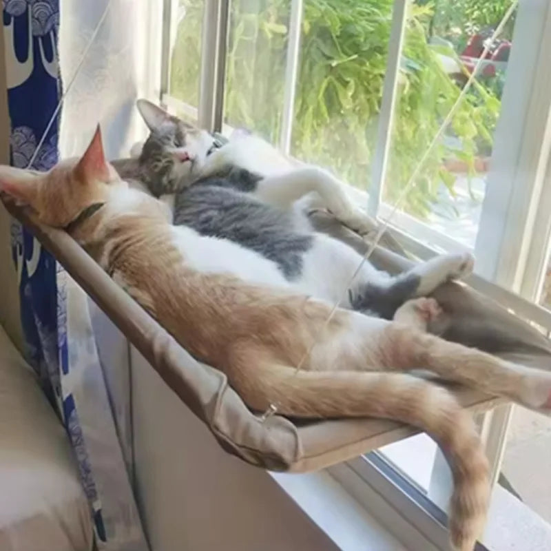 Cat Window Hammock