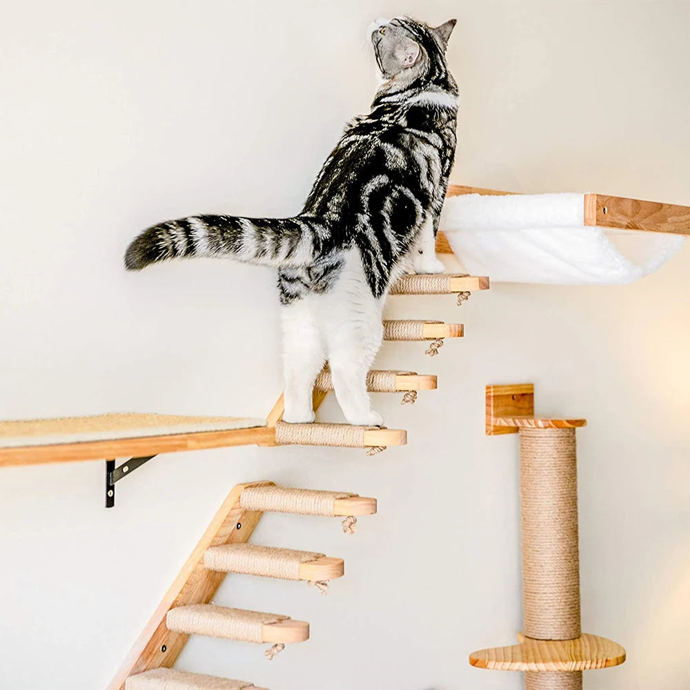 Wall-Mounted Cat Climbing Furniture & Hammocks