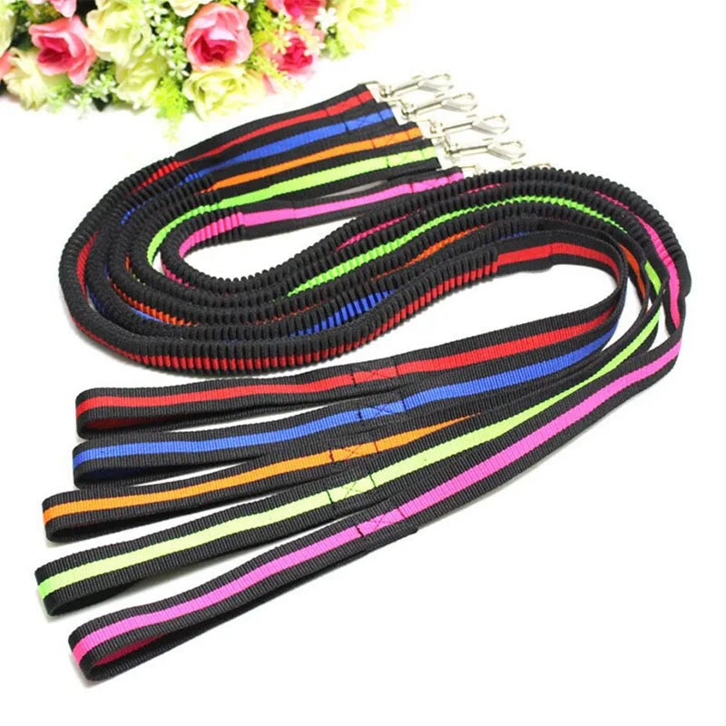 Laisse élastique anti-traction pour animaux (190 cm)